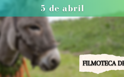 EO – 5 de abril a las 20,30 en la Filmoteca